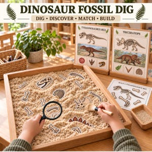 Utskrivbar aktivitet med fossilgrävning i dinosaurier | Matchande mattor för skelett | Sensorisk låda för förskola | Dinosaurieposters | Arkeologidramatiklek