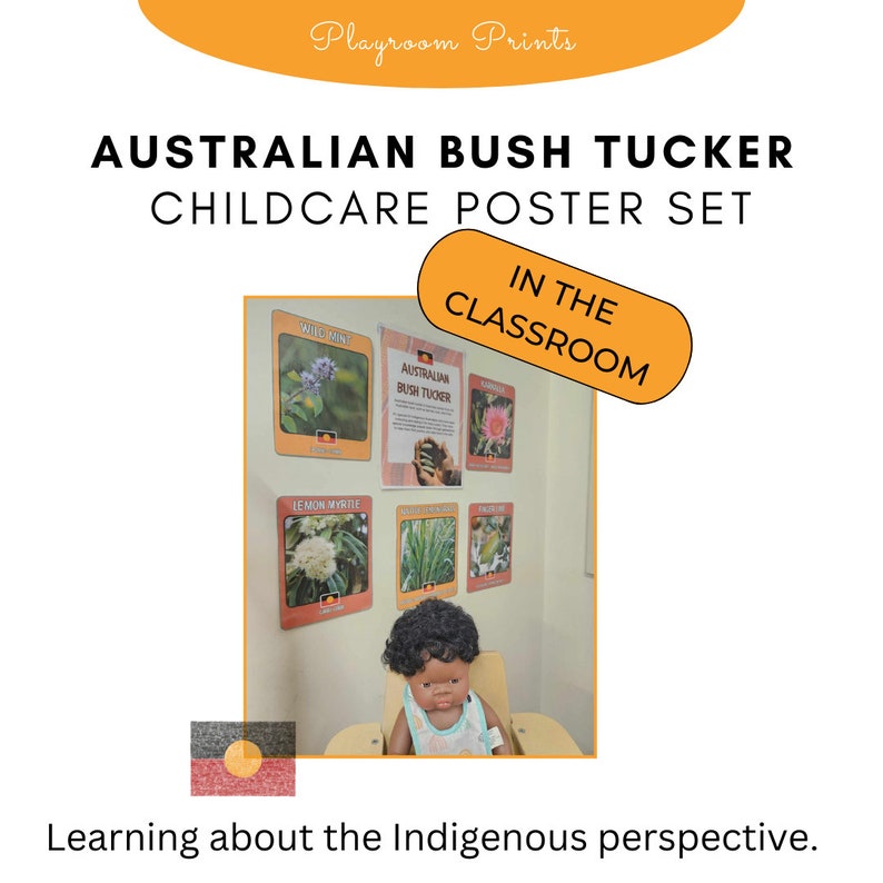 May include: A set of Australian Bush Tucker posters for a childcare classroom. The posters feature illustrations of native Australian plants and the text "Australian Bush Tucker" and "In the Classroom".
