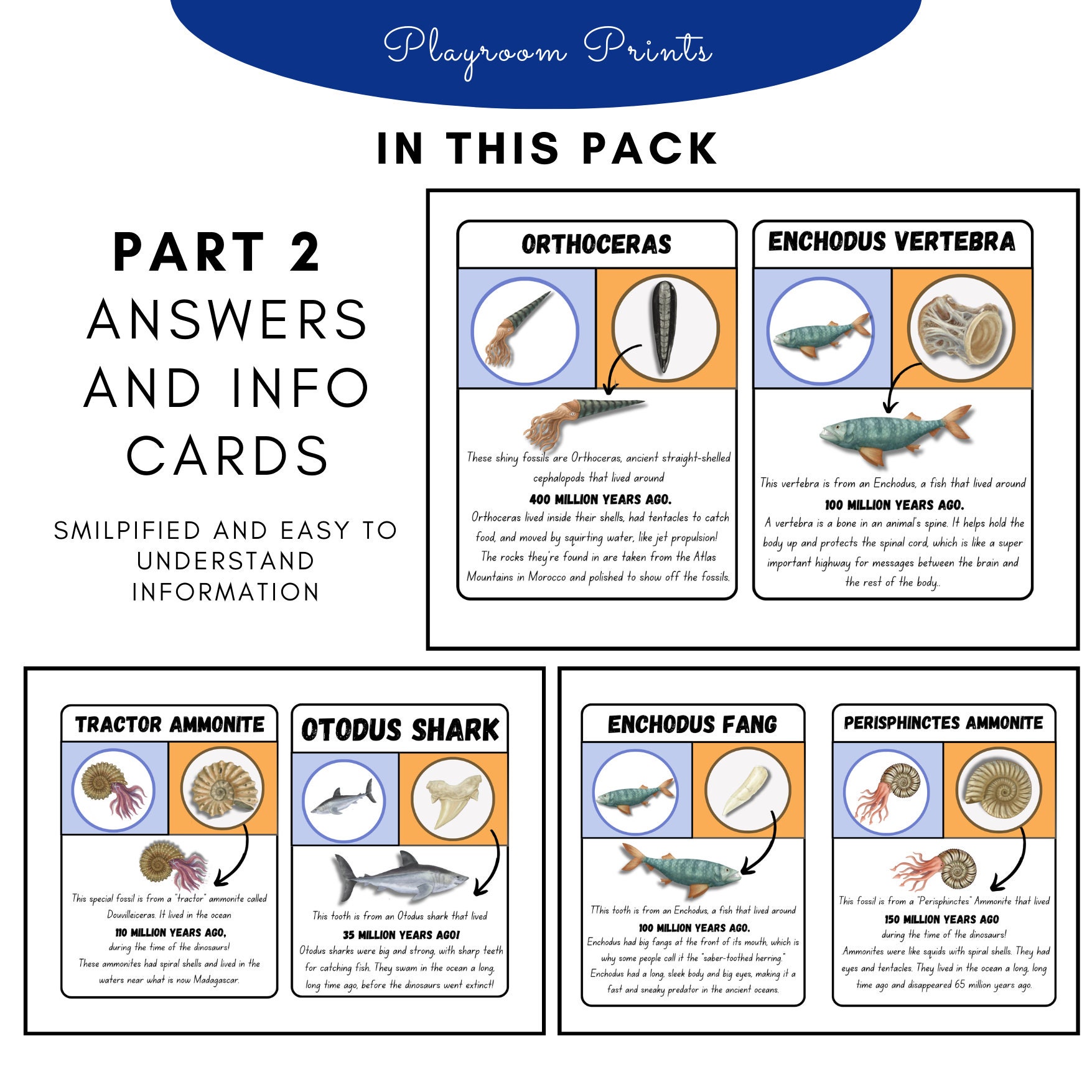 Printable Ocean Fossil Matching Game Palaeontology Activity for Kids