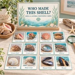 May include: A set of educational matching cards titled Who Made This Shell? featuring illustrations of various shells and their corresponding animals, including conch, scallop, cowrie, abalone, moon, and mussel, displayed on a light fabric surface.