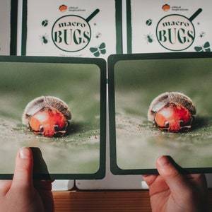 Macro Bugs Memory Cards – Lustiges und lehrreiches Insektenspiel für Kinder