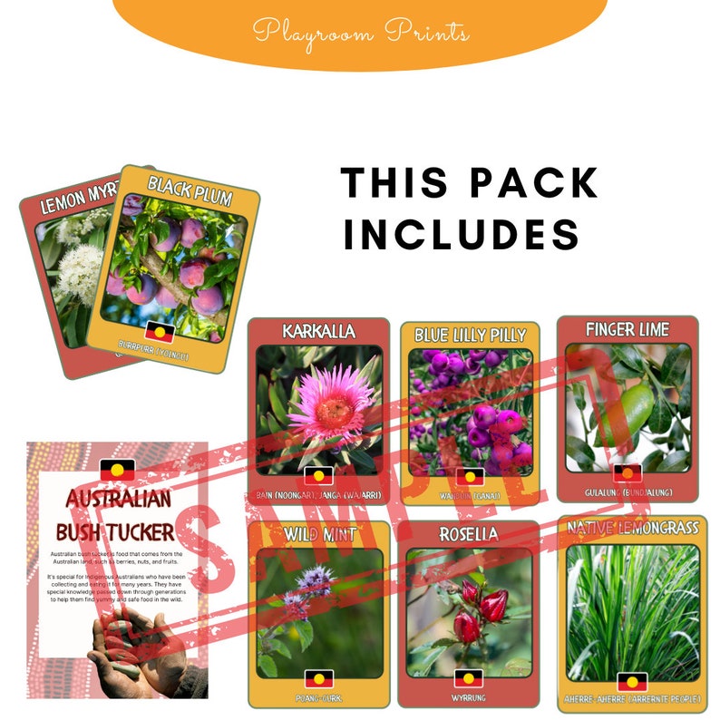 Australian Bush Tucker Poster Set for Early Learning, Childcare Aboriginal poster set, downloadable PDF image set for Australian preschool image 3
