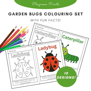 Kleurplaten tuinbeestjes met leuke weetjes – 10 afdrukbare insectenactiviteitenbladen voor kinderen | Educatieve natuurkunst pdf