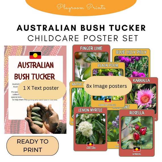 Australian Bush Tucker Poster Set for Early Learning, Childcare Aboriginal poster set, downloadable PDF image set for Australian preschool