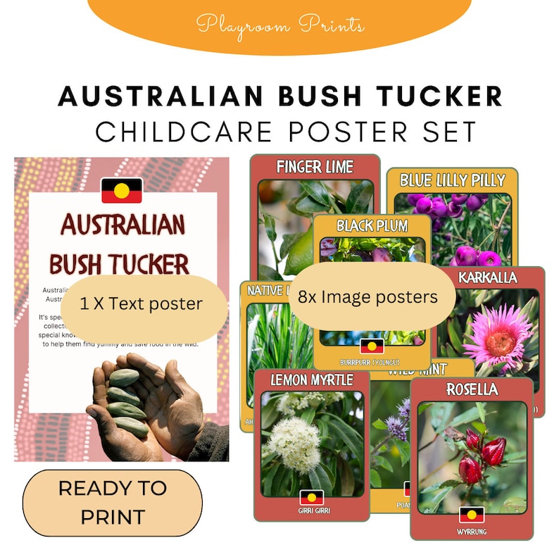 May include: A set of 9 printable posters for childcare featuring Australian native plants and fruits. The posters include images and text with the common and Aboriginal names for each plant. The text poster says "Australian Bush Tucker" and "1 x Text poster". The image posters say "8x Image posters".
