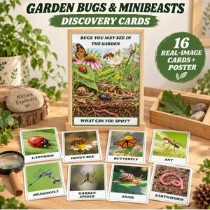 Puede incluir: Un conjunto de tarjetas de descubrimiento y un póster sobre insectos de jardín, con imágenes reales de mariquitas, abejas, mariposas, hormigas, libélulas, arañas, caracoles y lombrices de tierra con etiquetas de texto claras para cada criatura.