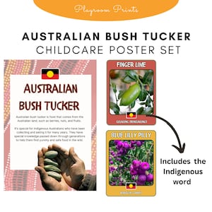 May include: A set of Australian Bush Tucker childcare posters featuring illustrations of finger lime and blue lily pilly. The posters include the Indigenous word for each fruit.