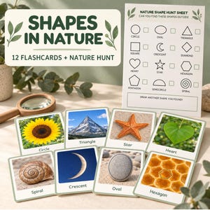Puede incluir: Un conjunto de tarjetas educativas y una hoja de búsqueda de naturaleza titulada Shapes in Nature. Las tarjetas muestran imágenes de un girasol, montaña, estrella de mar, hoja, caracol, luna, piedra y panal, cada una etiquetada con su forma.