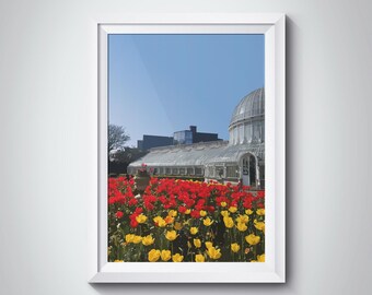 Belfast Botanic Gardens Palm House Art Print (Digital Print)
