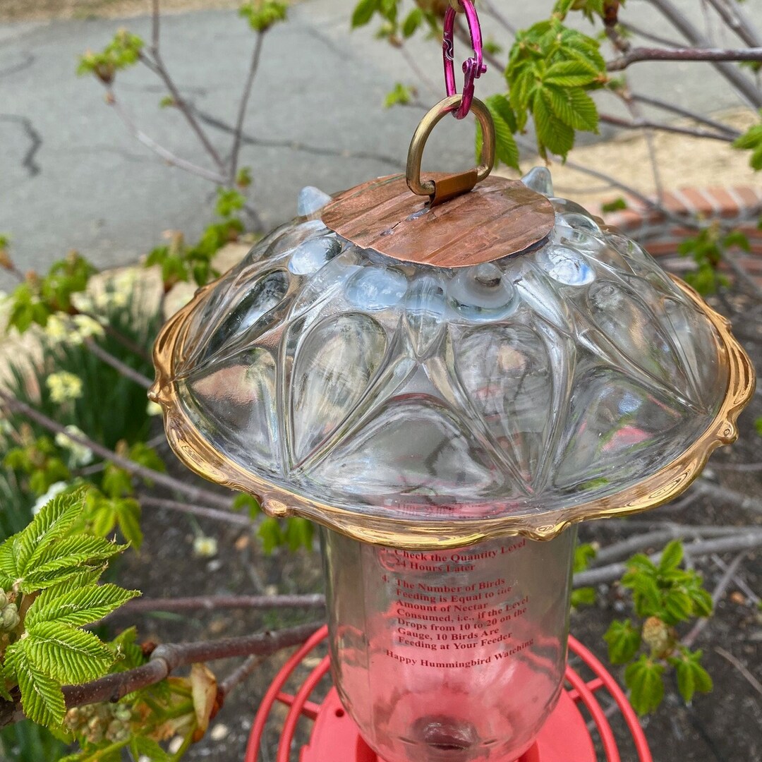 Hummingbird Feeder Mason Jar Feeder Hanging Bird Feeder Ant Etsy