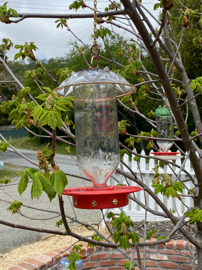Hummingbird Feeder Mason Jar Feeder Hanging Bird Feeder Ant Etsy
