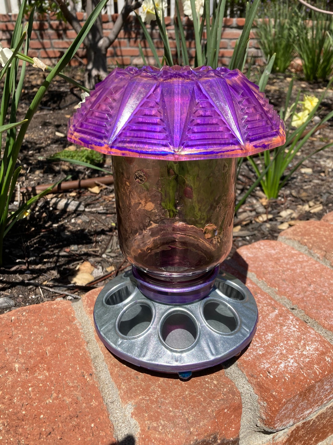 Bird Feeder Mason Jar Feeder Hanging Bird Feeder Squirrel Etsy