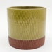 see more listings in the Pots + Planters section