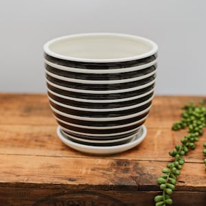 以下が含まれることがあります： 白と黒のストライプのセラミックプランターと白い受け皿。プランターは、「VARNISHES」と書かれた木製の箱の上に置かれています。