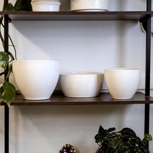 May include: A three-tiered shelf unit with dark brown shelves and black metal supports. The shelves display white ceramic plant pots of varying sizes, along with greenery. The background is a white wall.