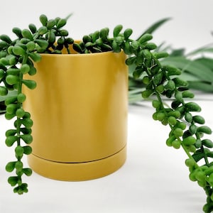 Yellow Plant Pot with Drainage • Ceramic Planter for 4 inch / 6 inch Houseplants • Mustard Succulent Plant Pot • Cute Flower Pot for Porch