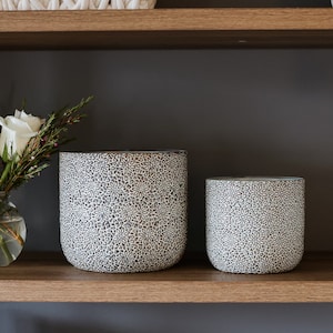 4 Zoll 6 Zoll Gänseblümchen-Weiß-Blumentopf • Blauer Blumentopf • Innentopf • Zimmerpflanze Blumentopf für Bauernhaus • Sukkulententopf