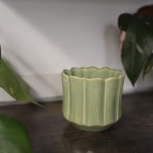 May include: A light green ceramic planter with a scalloped rim and vertical ribbed design. The small, round planter sits on a dark wooden shelf, with green leafy plants in the background. The planter is approximately 4 inches tall.