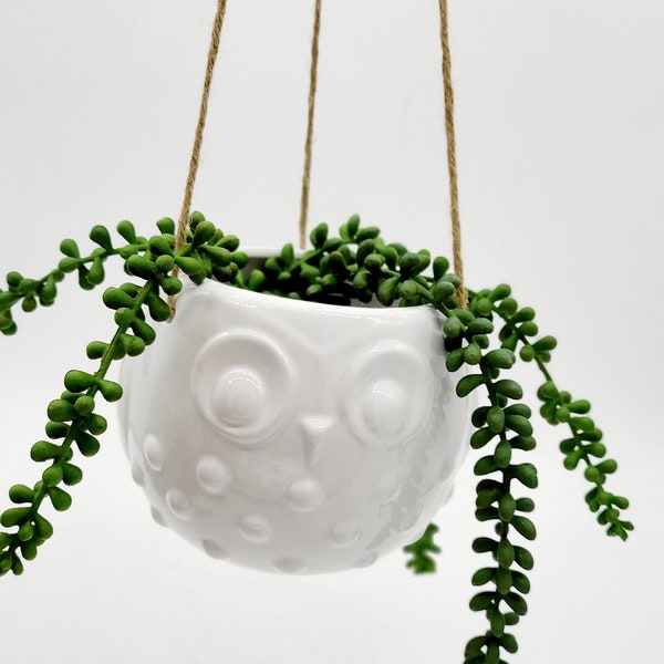 Hanging Owl Planter Pot • Hanging Animal Planters • Ceramic Owl Succulent Planter Pot • Indoor Planter • Hanging Planter • Houseplant Pot