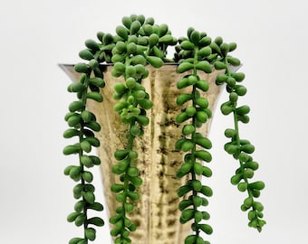Artificial String of Pearls • 16.5" Fake Hanging Succulent for Pots and Hanging Planters