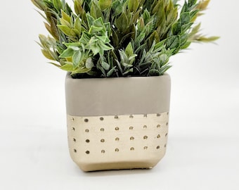 4" Gold Cement Planter Pot • Unique Modern Plant Pot • Square Indoor Planter • Houseplant Flower Pot • Concrete Planter • Gardening Gift