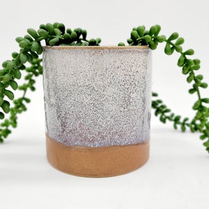 Ceramic Planter Pot for 4 Inch Plants • Small Planter • Unique Pottery Planter • Indoor Planter • Houseplant Flower Pot • Succulent Planter