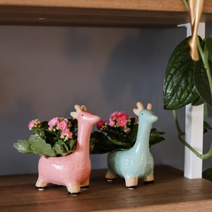 May include: Two ceramic giraffe planters in pink and blue with pink flowers growing out of them. The planters are sitting on a wooden shelf.