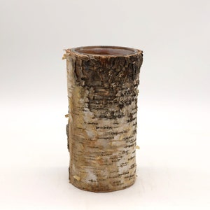 Könnte beinhalten: Eine zylindrische Vase aus Birkenrinde mit natürlicher, rustikaler Optik. Das Innere ist dunkelbraun, kontrastierend mit den hellbeige- und dunkelbraunen Tönen des strukturierten Äußeren. Die sich ablösende Rinde verstärkt den organischen Charme.