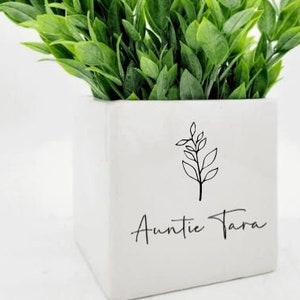 Personalized Planter for Aunt Gift • Custom Planter Flower Pot • Baby Reveal Gift for Sister • Pregnancy Announcement • Aunt Birthday Gifts