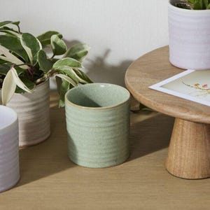 Puede incluir: Una colección de pequeñas macetas cilíndricas de cerámica en tonos rosa, verde y beige, que contienen varias plantas verdes. Un soporte de madera para pasteles exhibe una planta y una tarjeta con ilustraciones florales. La escena está sobre una superficie de madera clara.