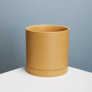 Maceta de cerámica color amarillo mostaza • Con drenaje y plato, para interior/exterior