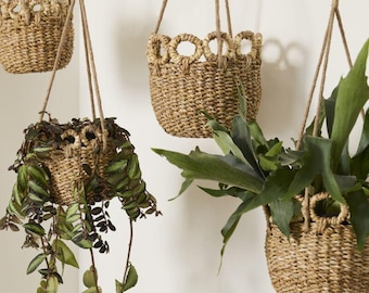 May include: Several woven hanging baskets with plants. The baskets are made of a light brown material and have a decorative looped design around the top. The plants have green leaves and hang down from the baskets.