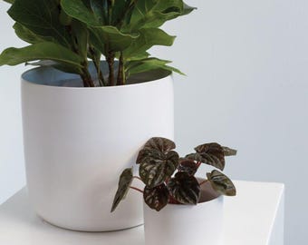 Cache-pot en céramique blanche • Jardinière d'intérieur moderne, plantes succulentes et fines herbes • 4, 6, 9 po.