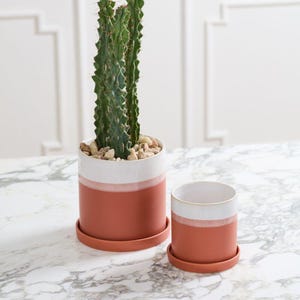 Vasi Da Fiori Moderni Da 7 Cm, In Plastica, Con Fori Di Drenaggio - Foto 6