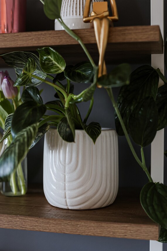 6-Zoll-weiße Keramik Pflanztopf für 6-Zoll-Pflanzen • Bauernhaus Sukkulenten Pflanzer • Zimmerpflanze • Blumentopf für drinnen • Tontöpfe