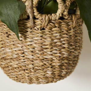 May include: Woven basket with a natural, light brown color. The basket has a rounded shape with a woven handle and a braided rope detail. Green leaves are visible around the top of the basket. Ideal for home decor and plant storage.