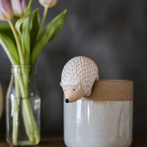 Hedgehog Pot Hugger • Ceramic Animal Planter Decor • Small Gifts for Her