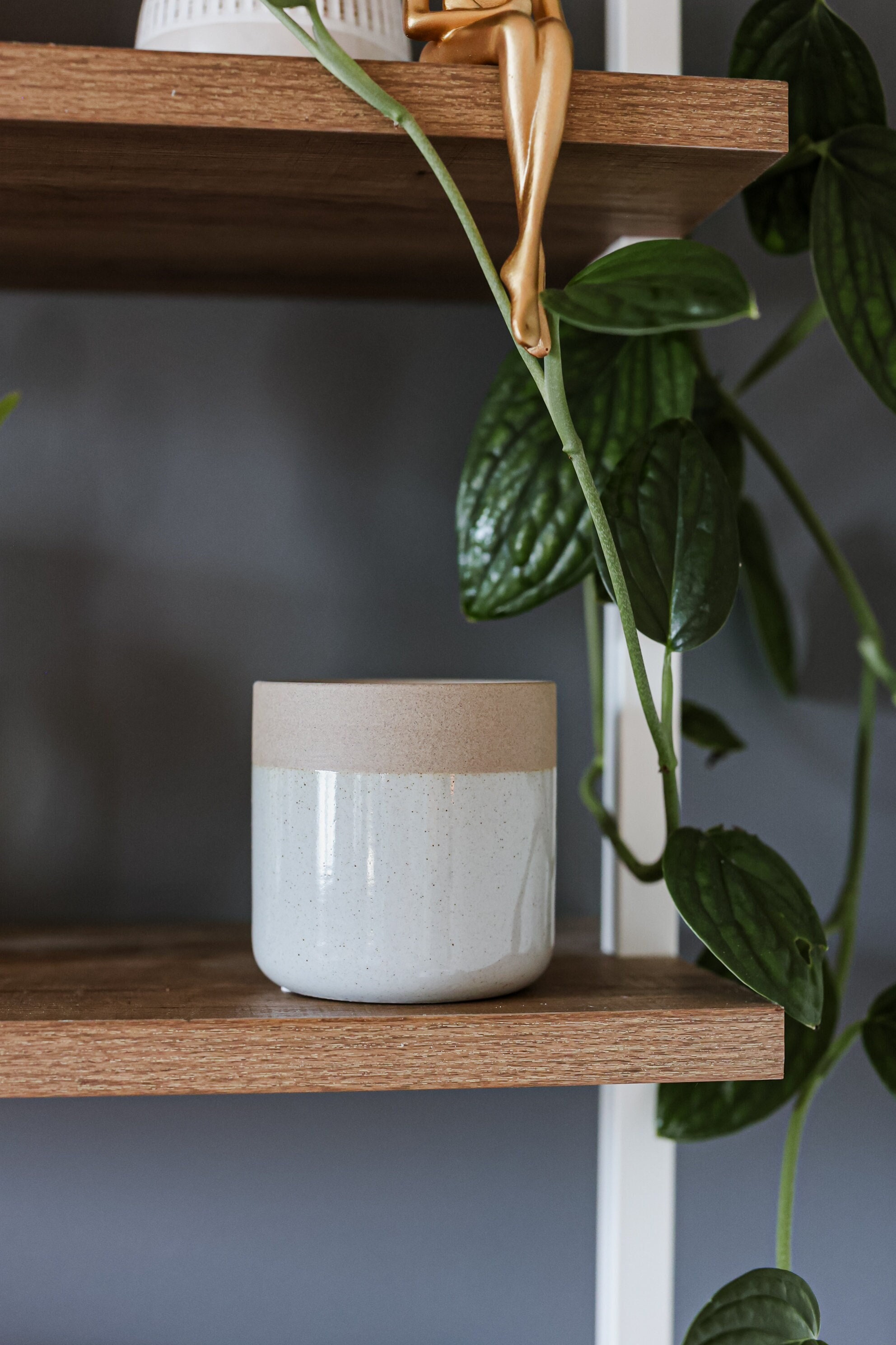 Two Toned Planter • Ceramic Plant Pot for 4 Inch and 6 inch Plants • Farmhouse Planter • Indoor Planter • Flower Pot • Succulent Planter