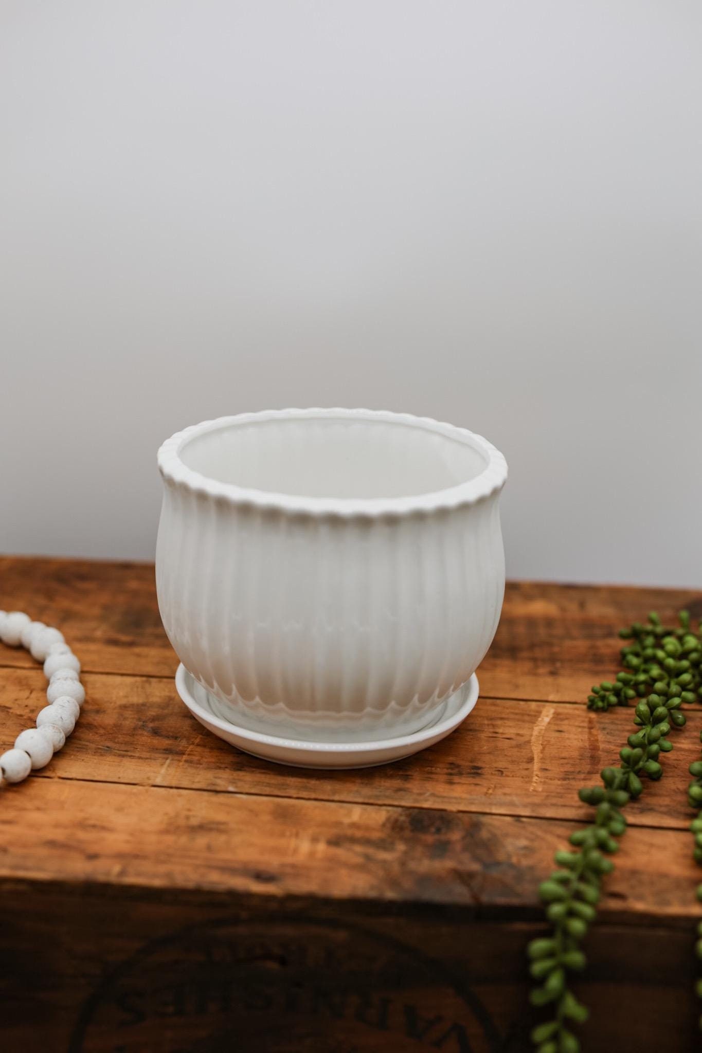 duozoanz Supporto Piante Vaso Tappetino Rete - Pad Drenaggio Griglia