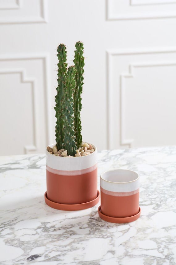 white resin plant pots Stagma Resin Planter Pot