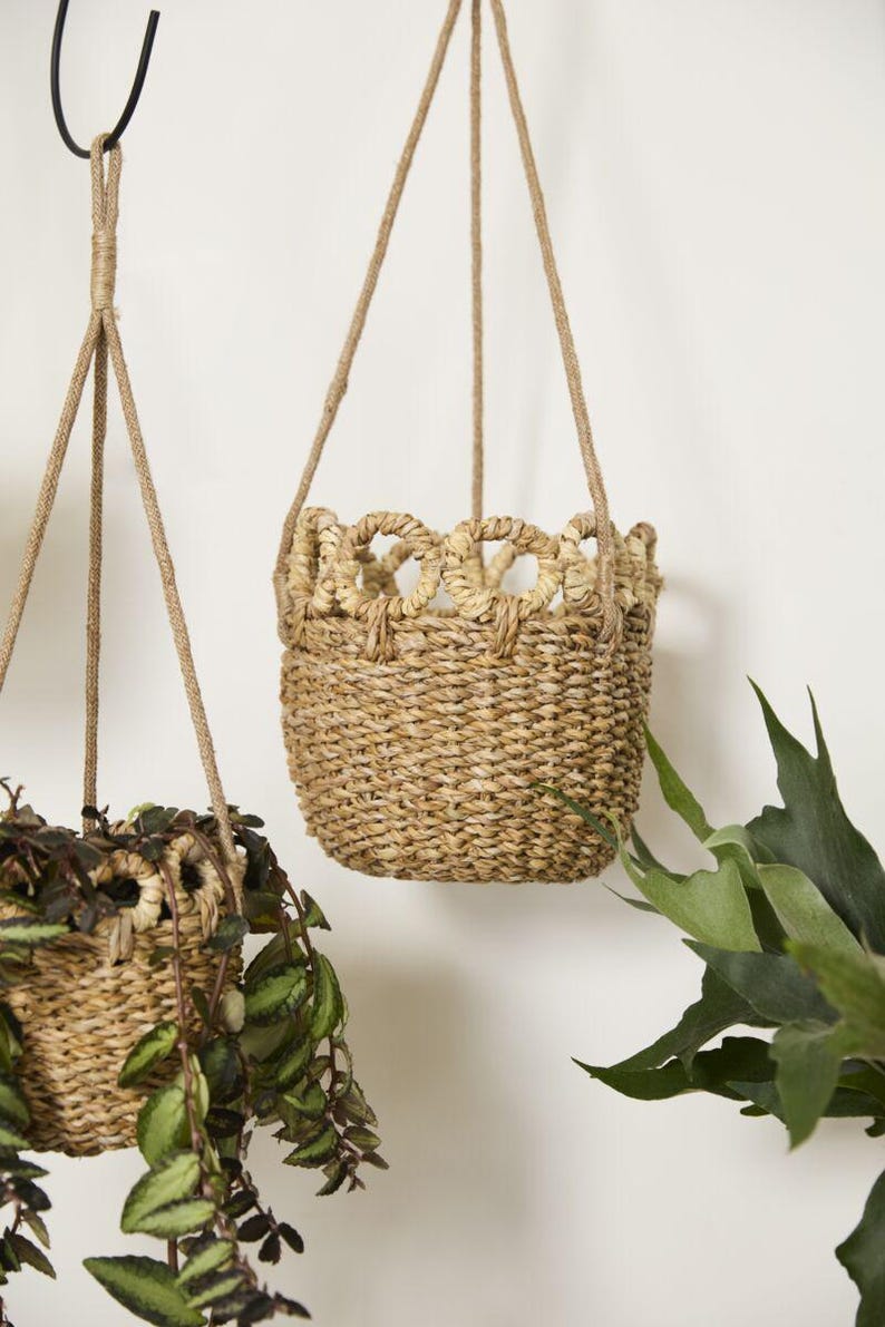 May include: Two woven hanging baskets with rope hangers. The baskets are made of natural fibers and have a decorative looped design around the top edge. One basket is empty, and the other contains greenery.