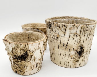 Wooden Birch Tree Plant Pots • Boho Farmhouse Planter Pot • Indoor Planter • Houseplant Flower Pot • Rustic Home Decor • Gift for Her