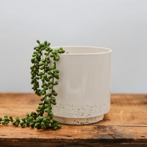 6&quot; White Planter • Cream Speckled Vase • Indoor Planter • Houseplant Flower Pot • Succulent and Cacti Planter • Gift for Mom • Garden Gift