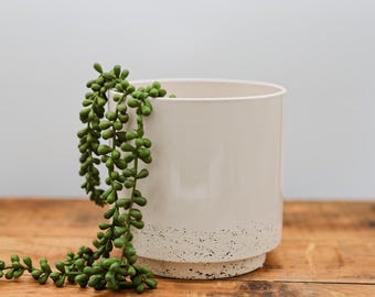 Puede incluir: Maceta de cerámica blanca con un borde moteado, que presenta una planta suculenta colgante con hojas verdes.