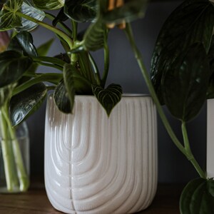 6 Inch White Ceramic Plant Pot for 6 Inch Plants Farmhouse Succulent Planter Indoor Planter Flower Pot for Indoors Clay Pots image 4