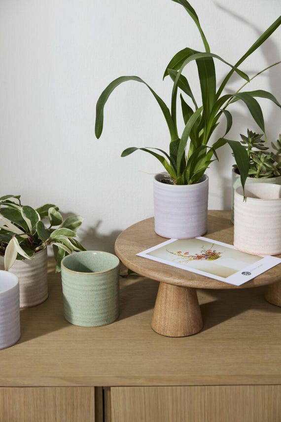 Mintgrüner Keramik-Blumentopf • 10 cm (4 Zoll) großer Pflanztopf für drinnen, Utensilienhalter