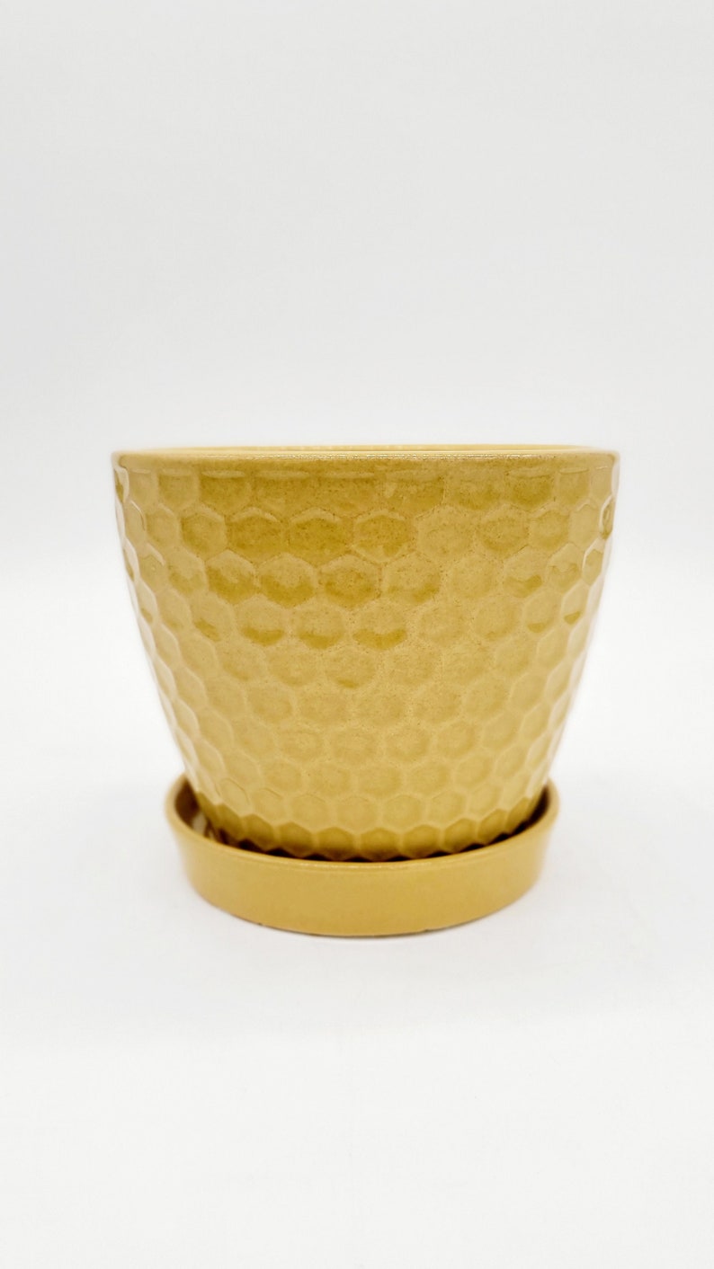 5 Mustard Yellow Planter Pot With Saucer Drainage Hole Etsy