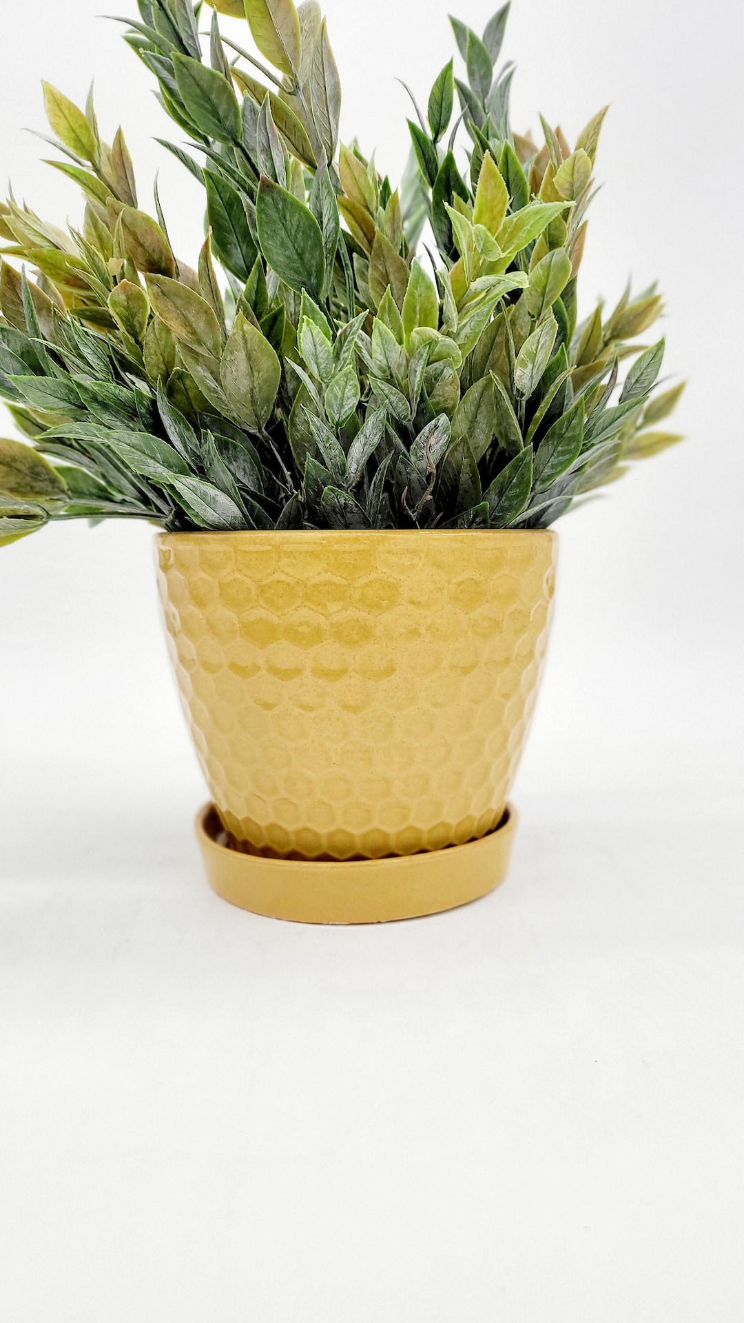 5 Mustard Yellow Planter Pot With Saucer Drainage Hole Honey Bee Modern