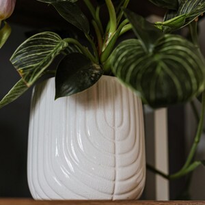 6 Inch White Ceramic Plant Pot for 6 Inch Plants Farmhouse Succulent Planter Indoor Planter Flower Pot for Indoors Clay Pots image 3