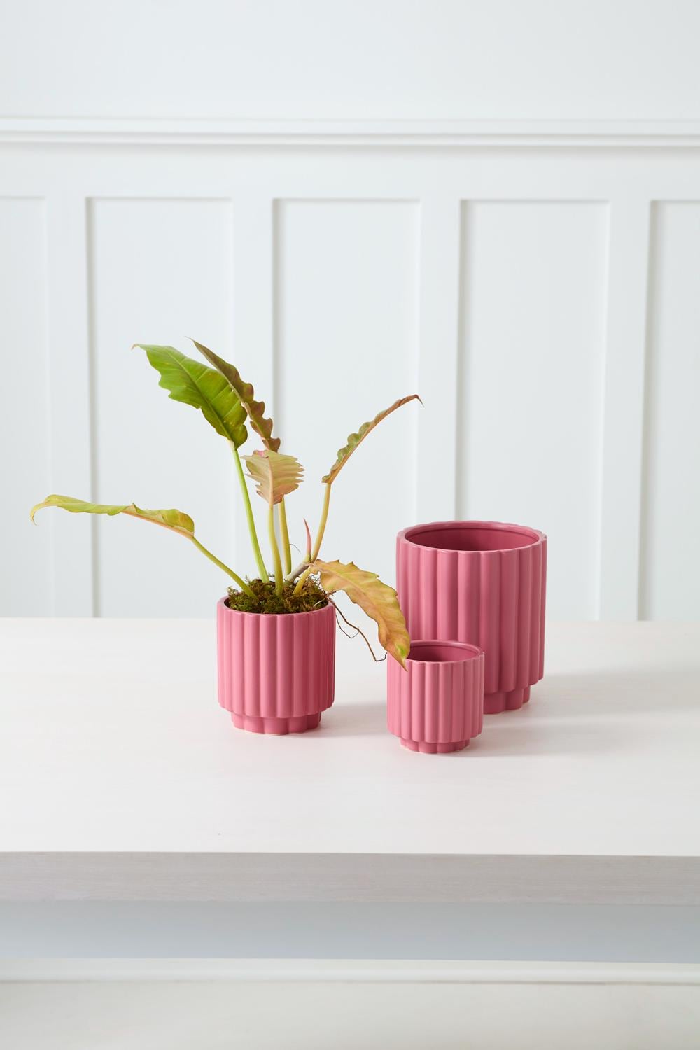ピンクの陶器の花瓶 - Etsy 日本